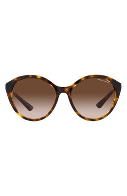 Armani Exchange 55mm Gradient Cat Eye Sunglasses in Shiny Hava