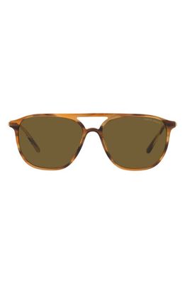 Armani Exchange 56mm Pilot Sunglasses in Striped Brown