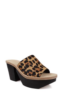 Artisan Crafted By Zigi Avril Genuine Calf Hair Sandal in Tan Leopard 