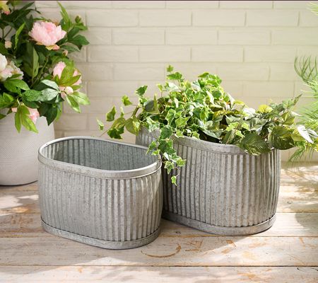 As Is Barbara King Set of 2 20" and 15" Tall Ribbed Planters