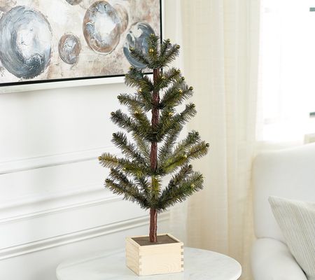 As Is Ebenezer & Co. 24" Feather Christmas Tree