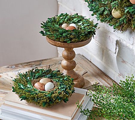 As Is Home Reflections Set of 2 Bird Nests with Eggs