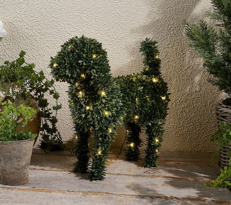 As Is Marigold 17" Dog Topiary with Battery LED Lights