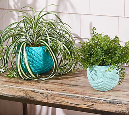 As Is Marigold Set of 2 Nautical Knot Planters