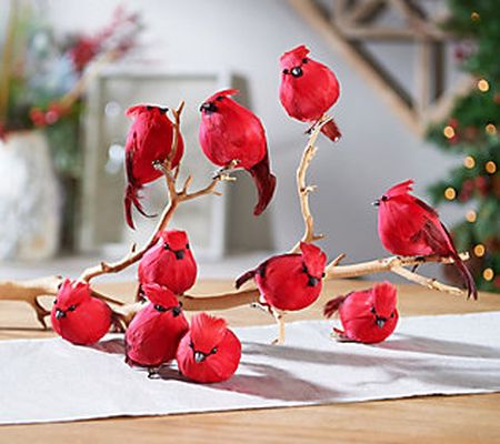 As Is Set of 10 Cardinal Bird Clipsby Valerie