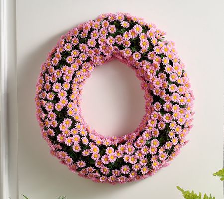 As Is Wicker Park 22" Faux Daisy Wreath