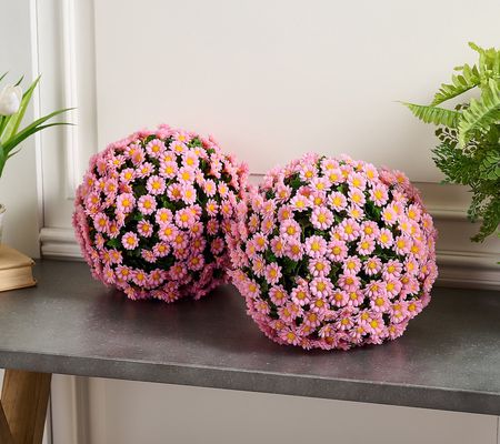 As Is Wicker Park Set of 2 12" Faux Daisy Garden Spheres