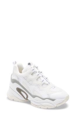 Ash Bang Sneaker in White