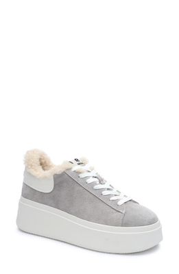 Ash Moby Be Kind Faux Fur Platform Sneaker in Grey