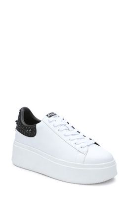 Ash Moby Sneaker in White/Black