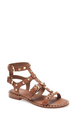 Ash Pacific Studded Strappy Sandal in Soft Brasil Cuocio
