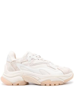 Ash panelled low-top sneakers - Neutrals