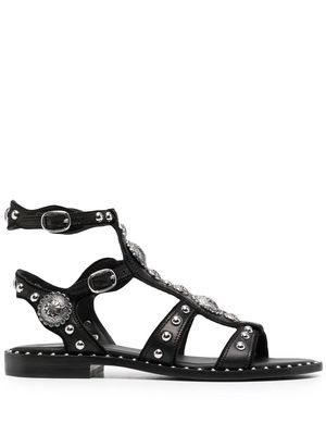 Ash Pasadena gladiator sandals - Black
