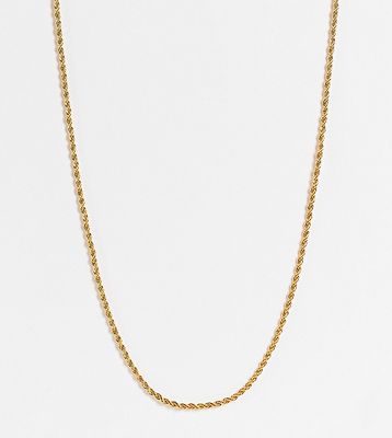 ASOS DESIGN Curve 14k gold plated necklace in mini rope chain design