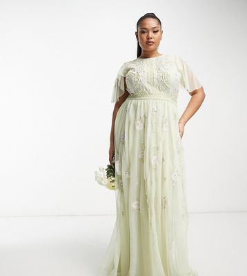 ASOS DESIGN Curve Bridesmaid pearl embellished flutter sleeve maxi dress with floral embroidery in sage-Green