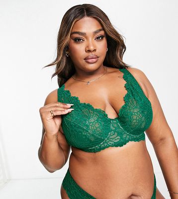 ASOS DESIGN Curve Sienna lace high apex underwired bra in forest green