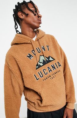 ASOS DESIGN Oversize Mount Lucania Appliqué High Pile Fleece Hoodie in Brown