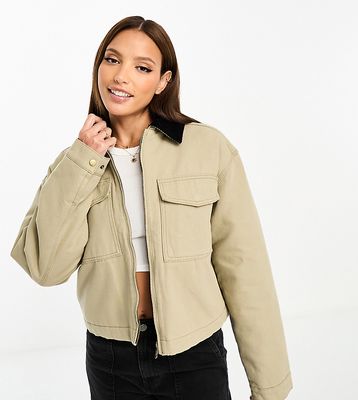 ASOS DESIGN Tall cropped canvas jacket in oat-Neutral