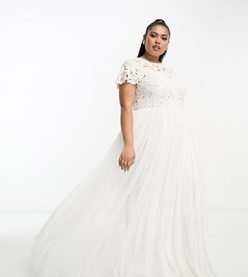 ASOS EDITION Curve Isabelle sequin cutwork bodice maxi wedding dress with cap sleeve in ivory-White