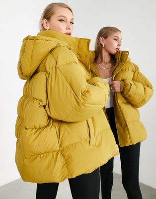 ASOS EDITION oversized puffer jacket in ochre-Yellow