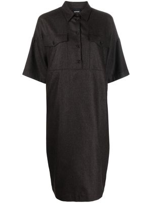 ASPESI short-sleeve shift dress - Brown