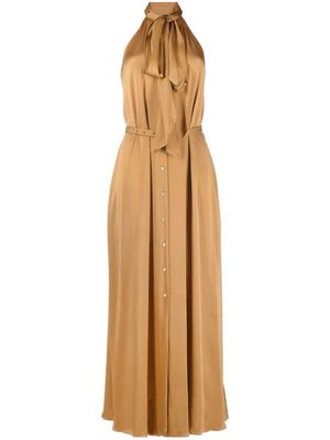 ASPESI V-neck button-detail dress - Brown