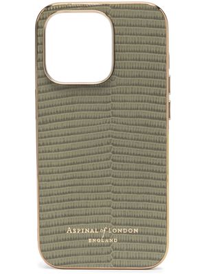Aspinal Of London pebble iPhone 14 Pro Max case - Green