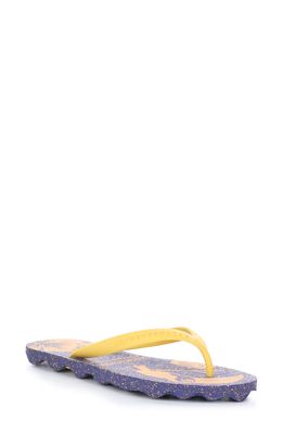Asportuguesas by Fly London Amazonia Flip Flop in Blue/Yellow Rubber