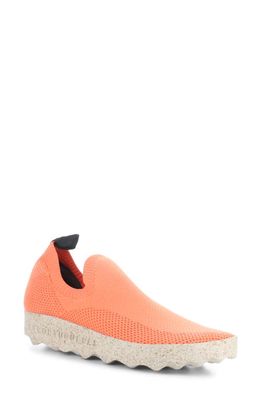 Asportuguesas by Fly London Clip Slip-On Sneaker in Coral Recycled Knit 