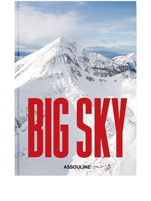 Assouline Big Sky by Barbara Rowley hardcover book - Grey