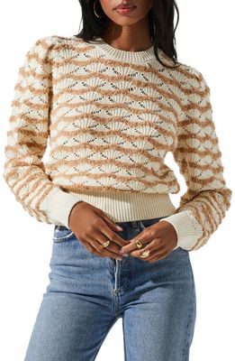 ASTR the Label Jaylani Pointelle Sweater in Cream Mocha