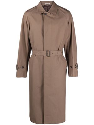 Auralee belted button-up cotton coat - Brown