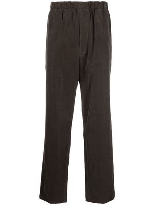 Auralee cotton straight-leg trousers - Brown