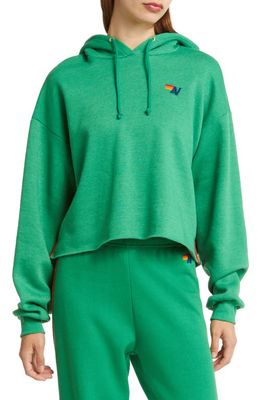 Aviator Nation Bolt Stripe Relaxed Fit Crop Hoodie in Kelly Green