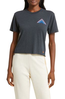 Aviator Nation Mountain Stitch Stripe Graphic T-Shirt in Charcoal/Blue Purple