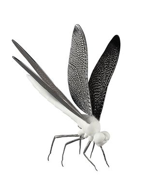 Awesome Insects Dragon Fly Figurine - White