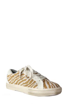B*O*G COLLECTIVE Starry Sneaker in Canvas Zebra Print Natural