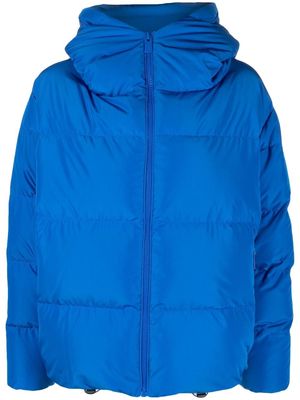 Bacon feather-down hooded parka - Blue