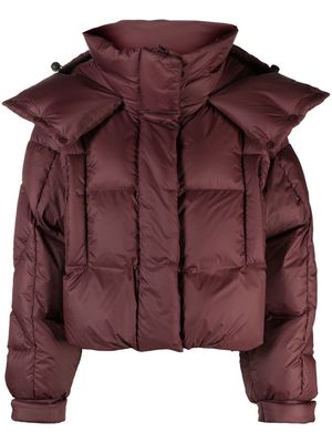 Bacon feather-down puffer jacket - Red
