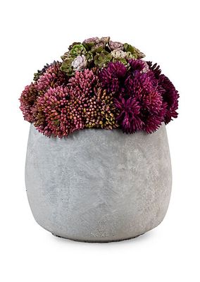 Bailey Ceramic Sedum Arrangement