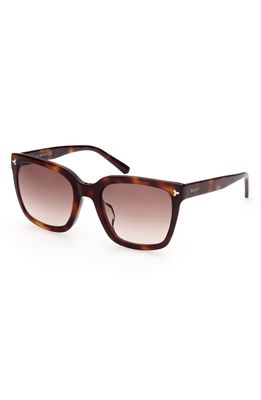 Bally 53mm Gradient Cat Eye Sunglasses in Dark Havana /Gradient Brown