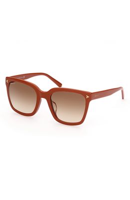 Bally 53mm Gradient Cat Eye Sunglasses in Shiny Orange /Gradient Brown
