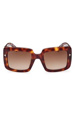 Bally 53mm Gradient Square Sunglasses in Blonde Havana/Gradient Brown