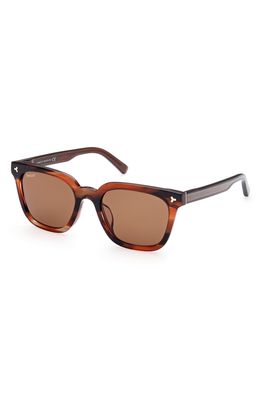 Bally 54mm Square Sunglasses in Dark Brown/Other /Brown
