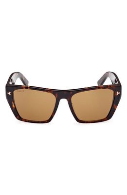 Bally 55mm Geometric Sunglasses in Dark Havana /Brown