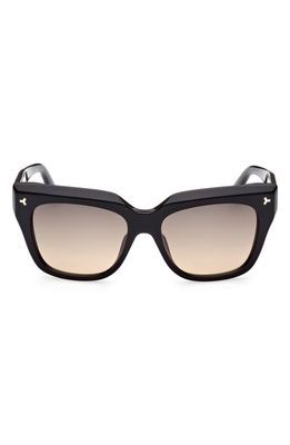 Bally 55mm Gradient Cat Eye Sunglasses in Shiny Black /Gradient Smoke