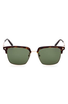 Bally 55mm Square Sunglasses in Dark Havana /Green