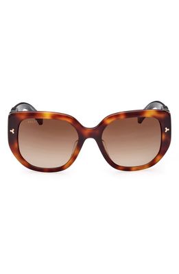 Bally 56mm Square Sunglasses in Blonde Havana/Gradient Brown