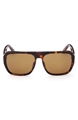 Bally 59mm Rectangular Sunglasses in Havana/Other /Brown