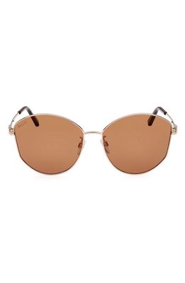 Bally 61mm Butterfly Sunglasses in Shiny Rose Gold /Brown